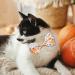 Fall Bow Tie Pumpkin Cat Collar Set with Bell | Autumn Thanksgiving Harvest Holiday Collar for Cats | Pumpkin Patch Design for Boys and Girls - Buy Online on SooperMarket.com