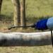 Prozap Bovi-Rub 10' White Backrubber - Effective Cattle Fly Control - Buy Online on SooperMarket.com