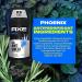 AXE Phoenix Antiperspirant For Men 48H Sweat & Odor Protection Mint & Rosemary Stay Dry For 48H With Men's Deodorant 2.7 oz (Pack of 2) - Buy Online on SooperMarket.com