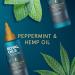 Head & Shoulders Royal Oils Nighttime Scalp Tonic with Peppermint and Hemp Oil 3.4 fl oz - Sulfate-Free - Buy Online on SooperMarket.com