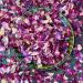 Edible 'Enchanted Forest' Pink Red and Burgundy Rose with Blue Cornflower Dried Flower Petal Mix - 50g - Food Grade - Culinary - Cake - Bake - Decoration (184) Cornflower 50g