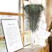 Soarer Long Peacock Feathers Bulk - 25pcs 32-35 inches for Vase, Holiday Decoration & DIY Crafts - Buy Online on SooperMarket.com