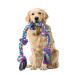 Aitmexcn Dog Rope Toys for Large Medium Dog Chewers Rope Indestructible Dog Chew Toys 37 Inch 5 Knots Tough Dog Tug Toy for Teeth Cleaning Tug of War Normal XXL Rope Toys