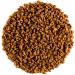 Fenugreek Seed Organic Quality Seeds - Culinairy Grade - Real Trigonella Foenum-graecum 100g 100 g (Pack of 1)