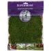 SuperMoss (21509) Sheet Moss Preserved, Fresh Green, 2oz Fresh Green 80.75 in3 Bag (Appx. 2oz)