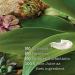 Maui Moisture Hibiscus Water Coconut Detangler 4.2 Fl Oz - I00111886 - Buy Online on SooperMarket.com