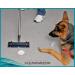 Cleanovation Rug Renovator: Carpet Scrubber & Brush with 32 oz Foaming Shampoo - Remove Pet Stains, Dirt Spots, & Wine Spills - Buy Online on SooperMarket.com