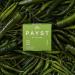Payst Fresh Thai Green Curry Paste. Fresh Handmade in London Authentic Thai cooking paste. 100g. Serves 2. - Buy Online on SooperMarket.com
