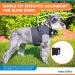 Walkin Halo Harness for Blind Dogs - Comfortable Harness for Pets Over 30lbs - Blind Dog Accessories - XX-Small - Buy Online on SooperMarket.com