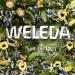 Weleda Sea Buckthorn 24H Roll-On Deodorant | Plant-Based, Aluminum-Free Odor Protection for Men & Women - 1.7 oz - Buy Online on SooperMarket.com