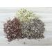 Organic Broccoli Sprouts 200g | Premium Broccoli Seeds for Growing Healthy Sprouts - Fast International Shipping - Buy Online on SooperMarket.com
