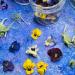 Edible Dried 'Enchanted' Flower Petal Cake Decorating Gift Set- 6 x 120ml Jars In Beautiful Presentation Box - Violas Pansies Cornflower Alyssum Pea Shoot Tendrils Nasturtium Leaves (464) - Buy Online on SooperMarket.com