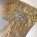 Mirror Pair Beaded Floral Lace Applique with Colorful Rhinestones, Jewelry Motif Embroidery Shoulder Patch for Party Costumes and Dance Dress in Gold - Buy Online on SooperMarket.com
