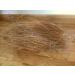 Moondown Farm Bird Nesting Material Coconut Husk Fibre Bundle 100g for Finches/Canary/Budgies - Buy Online on SooperMarket.com