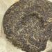Pu-erh tea 2006 Xishuangbanna Yiwu Organic Green Cake 400g Raw - Buy Online on SooperMarket.com