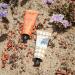 SPONGELL Beach Grass Hand Cream 57ml Nourishing and Hydrating Moisturizer for All Skin Types | International Shipping Available - Buy Online on SooperMarket.com