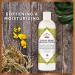 Nubian Heritage Indian Hemp & Haitian Vetiver Body Lotion - 13 oz (Pack of 1) - Buy Online on SooperMarket.com
