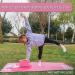 ABTECH Unicorn Yoga Starter Kit for Kids - Includes Yoga Blocks, Ball, Non-Slip Towel, Drawstring Bag - Pink Set for Girls Ages 3-12 - Buy Online on SooperMarket.com