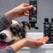 Alphazoo Repair & Care Conditioner 200ml for Cats & Dogs | Natural Shampoo for Soft Fur | All Breeds Langhaar & Kurzhaar - Buy Online on SooperMarket.com