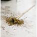 Hojicha Powder Roasted Green tea | Houjicha Powder 250g | Hojicha latte tea from Japan Moya Hojicha Powder 250g - Buy Online on SooperMarket.com
