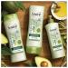 Suave Professionals Shampoo with Avocado + Olive Oil | 12.6 oz - Nourishing Hair Care for all Hair Types | International Shipping Available - Buy Online on SooperMarket.com