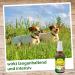 Insectovet Combi Spray 50 ml - Effective Insect Repellent for Pets | Fast International Shipping - Buy Online on SooperMarket.com