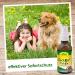CDVET ZECKEX Ticket Defense Spray 20 ml | Natural Tick Protection for Humans & Animals | Dermatologically Tested Long-Lasting Effect - Buy Online on SooperMarket.com