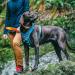 Kurgo Journey Air Dog Harness - Padded Chest & Back Handle for Active Dogs - Size XL Blue | International Shipping Available - Buy Online on SooperMarket.com