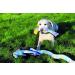 Rosewood Rope & Squeak Snake Plush Dog Toy - 69cm - All Breed Sizes - Buy Online on SooperMarket.com