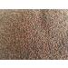 Organic Broccoli Sprouts 200g | Premium Broccoli Seeds for Growing Healthy Sprouts - Fast International Shipping - Buy Online on SooperMarket.com