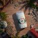 Old Spice Men's Deodorant Aluminum-Free Alpine with Hemp Oil 3. oz (Pack of 3) Alpine 3 Ounce (Pack of 3) - Buy Online on SooperMarket.com