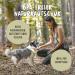 Rudelk nig Dog Ball - Indestructible Natural Rubber - 2-Pack Orange & Blue - 6.5cm - Perfect for Dogs - International Shipping - Buy Online on SooperMarket.com