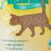 Pettex Pampuss Woodbase Cat Litter 5 Liter - Buy Online on SooperMarket.com