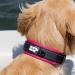 Buy Black Rhino Comfort Collar - Super Soft Neoprene Dog Collar for All Breeds | Adjustable Reflective Weatherproof (XL Pink/Black) - Buy Online on SooperMarket.com
