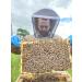 Gwenyn Gruffydd - British Blossom Honey 3kg Bulk Catering Tub - 100% Pure Natural Unpasteurized Raw Honey - Bulk Honey 3kg - Unheated - Gluten Free - Premium Honey from Non-Sugar Fed Bees UK - Buy Online on SooperMarket.com