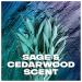 AXE Aluminum-Free Deodorant Stick for Men | Long Lasting Sage & Cedarwood | 3oz Odor Protection - Shop Now - Buy Online on SooperMarket.com