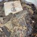 Pu-erh tea 2010 Jingmai 357g Raw - Buy Online on SooperMarket.com