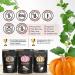 Premium Select Line by SuperSeedz | Pumpkin Seeds with Vermont Maple Sugar & Sea Salt | Vegan, Keto, Whole 30 | 8g Plant Based Protein | Nut & Gluten Free Snack | Made in USA | 4oz (Pack of 6) - Buy Online on SooperMarket.com
