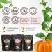 Dark Chocolate & Sea Salt Pumpkin Seeds | Premium Select Line by Superseedz | Vegan, Keto, Whole 30 | 7g Plant Based Protein | Nut & Gluten Free | Made in USA | 4oz x 6 Pack - Buy Online on SooperMarket.com