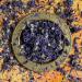 'Melody Blue' - 50g- Dried Edible Flower Petals - Blue Cornflower and Purple Mallow - Food Grade - Culinary - Cake - Bake - Decoration (342)