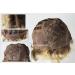 WIG ME UP DW-2054-HH-MF 12/613YS12 Women's Human Hair Short Wavy Ombre Lace Front Wig - Brown & Light Blonde - Buy Online on SooperMarket.com