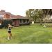 Hit-N-Serve Volleyball Trainer - Solo Practice Tool for Perfecting Your Serve - Buy Online on SooperMarket.com