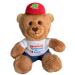 Hero Nutritionals 2020 Collectible Bear
