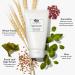 Shop Origins Checks and Balances Frothy Face Wash - 5 oz/ 150 mL Online - Best Price & International Shipping - Buy Online on SooperMarket.com