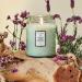 Shop VOLUSPA French Cade & Lavender Glass Jar Candle - 18 oz/ 510 g Online - Best Price & International Shipping - Buy Online on SooperMarket.com