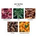 Shop NEST New York Mini Ornament Holiday Candle - 2.1 oz 1 wick candle Online - Best Price & International Shipping - Buy Online on SooperMarket.com