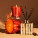 Shop NEST New York Mini Pumpkin Chai Candle - 2 oz/ 70 g Online - Best Price & International Shipping - Buy Online on SooperMarket.com