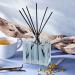 Shop NEST New York Driftwood & Chamomile Diffuser - 5.9 oz/ 175 mL Online - Best Price & International Shipping - Buy Online on SooperMarket.com