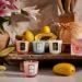 Shop VOLUSPA Mini Candle Set Online - Best Price & International Shipping - Buy Online on SooperMarket.com