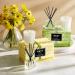 Shop NEST New York Bamboo Petite Candle & Diffuser Set Online - Best Price & International Shipping - Buy Online on SooperMarket.com